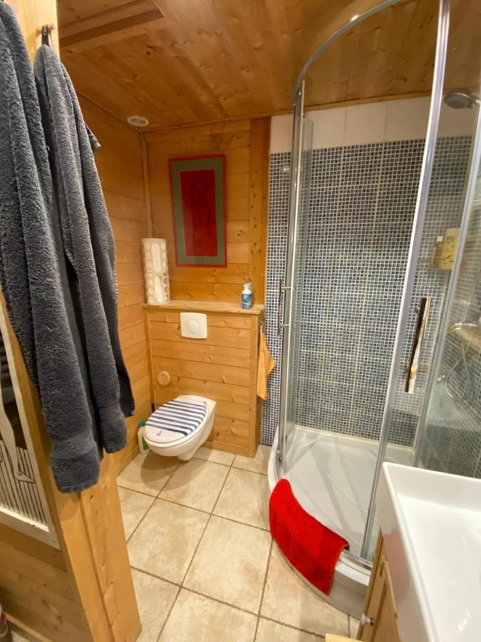 Chalet Les Chouettes Thones Luaran gambar
